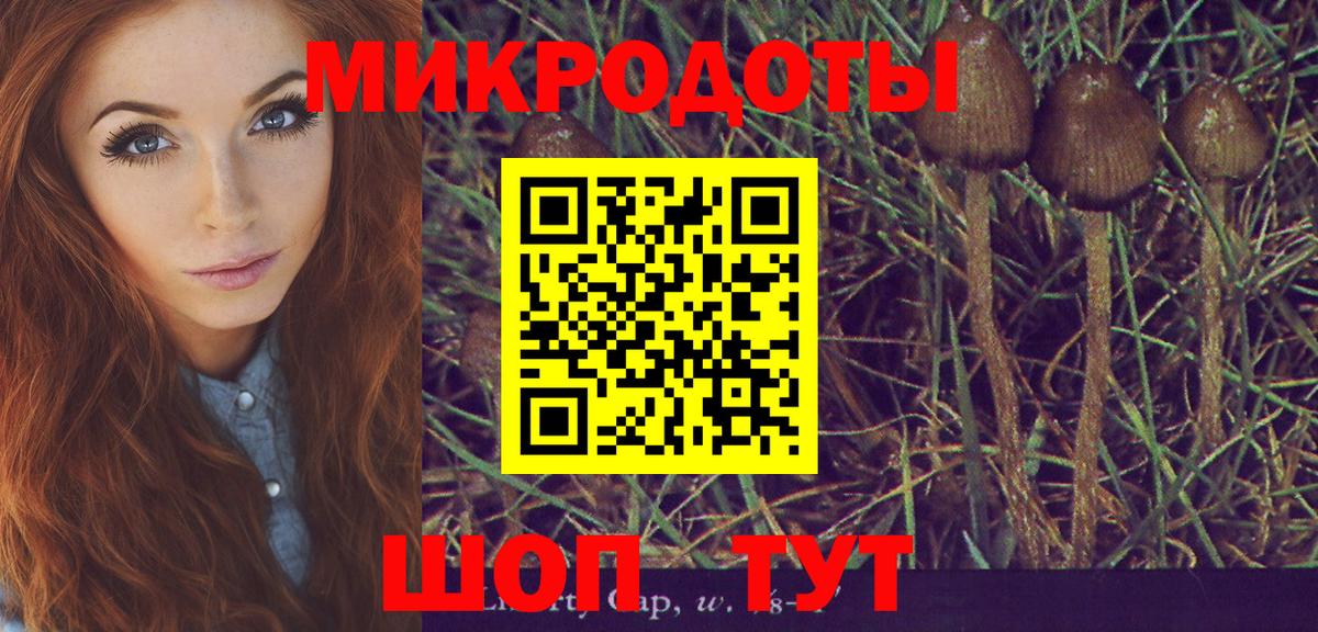 Псилоцибиновые грибы прущие грибы Уфа