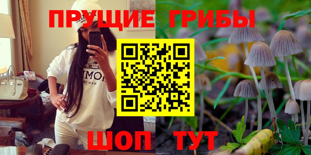 Уфа  Псилоцибиновые грибы MAGIC MUSHROOMS  Вход с VPN 
